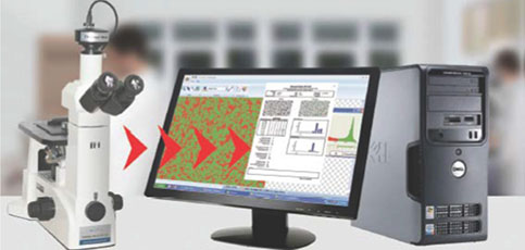 ptsenvisionsoftware